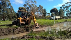 Bert doing his thing