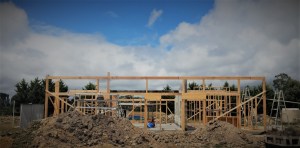 Front wall frames - view from the north