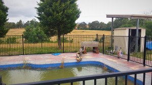 Funky water filtering system