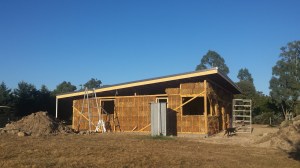 Nearly touching the roof line