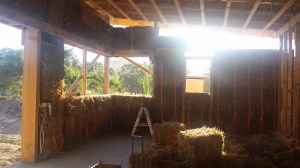 View of the kitchen at bale row #7.25