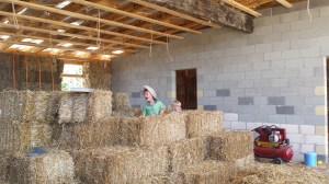 Fisher and Robin (Ryan's kids) decided to set up shop and sell some straw to help fund the build :D