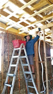 Alex looking way too enthusiastic about stuffing straw in between bales (to fill in any gaps)