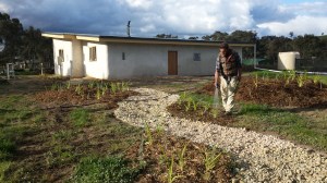 Matty watering in the newly planted seedlings