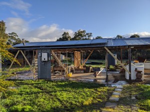 Eastern view with all external stud work removed