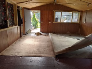 Filthy fraying carpets being removed