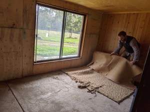 Guest bedroom 1 - off with the fugly carpet