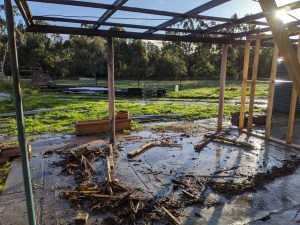 Guest bedroom 1 stripped to the core