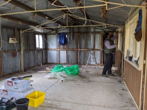 Partition wall starting to be removed