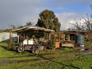 View from north side with everything stripped back